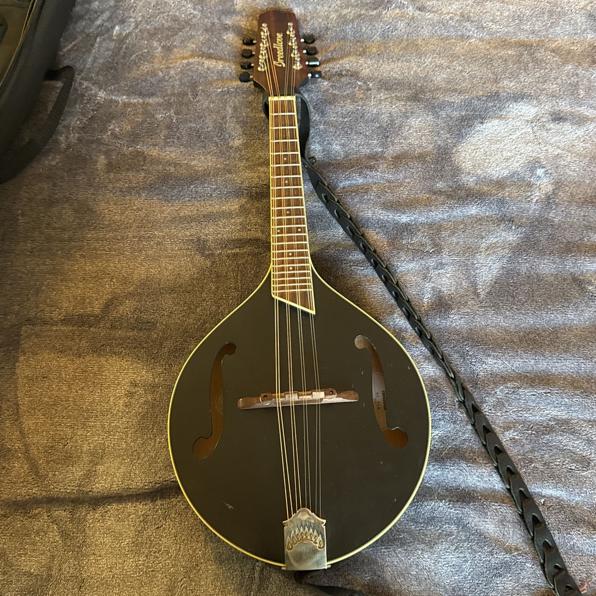 Breedlove OF Shape Mandolin