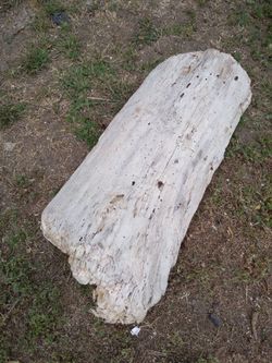 Natural Driftwood for aquariums terrariums decor