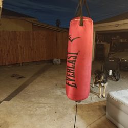 Punching Bag 80lb