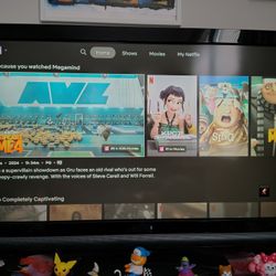 32" Vizio  Good Condition. No Remote. 