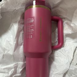 Stanley Starbucks 11/7/2024 Edition