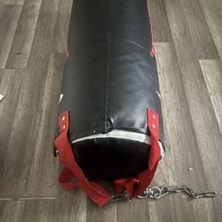 Everlast Punching Bag