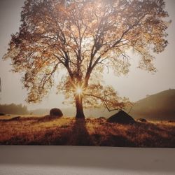 New Morning Photo Scream Print Painting $20