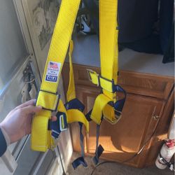 3M DBI Sala Fall Protection Harness