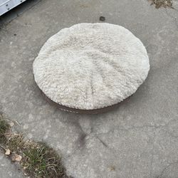 Pet Bed $10 Each