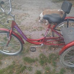3 Wheeler Bike