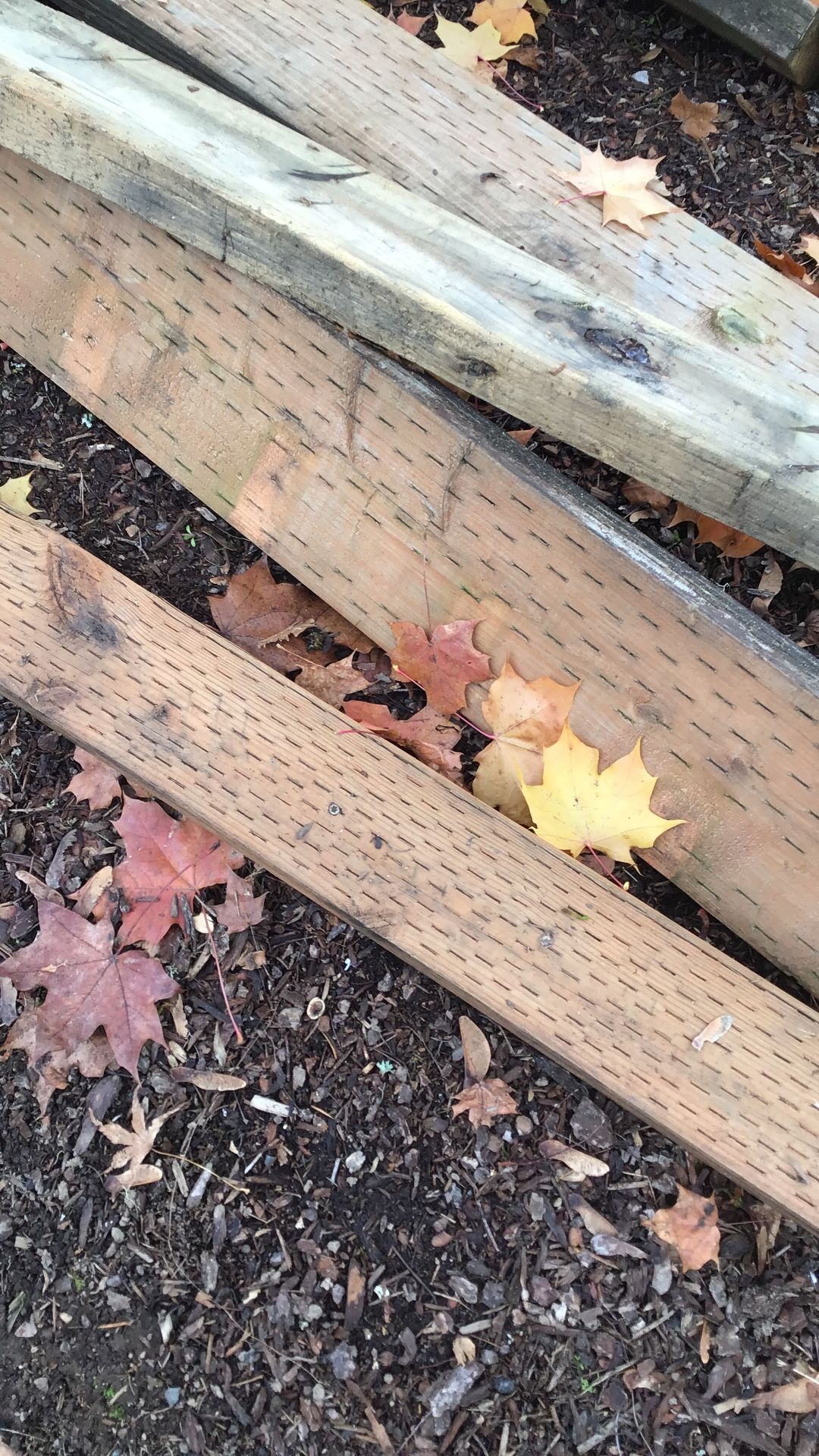 Free Pressure Treated Wood