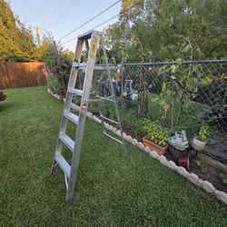 Werner Aluminum Ladder 6ft 