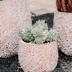 Fiberstone Cement Planters