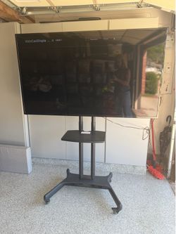 Vizio 65” TV on rolling stand
