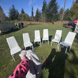 Modern Dining Chairs 