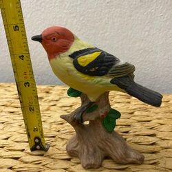 Adorno Pajarito Biscuit 5 Plg 