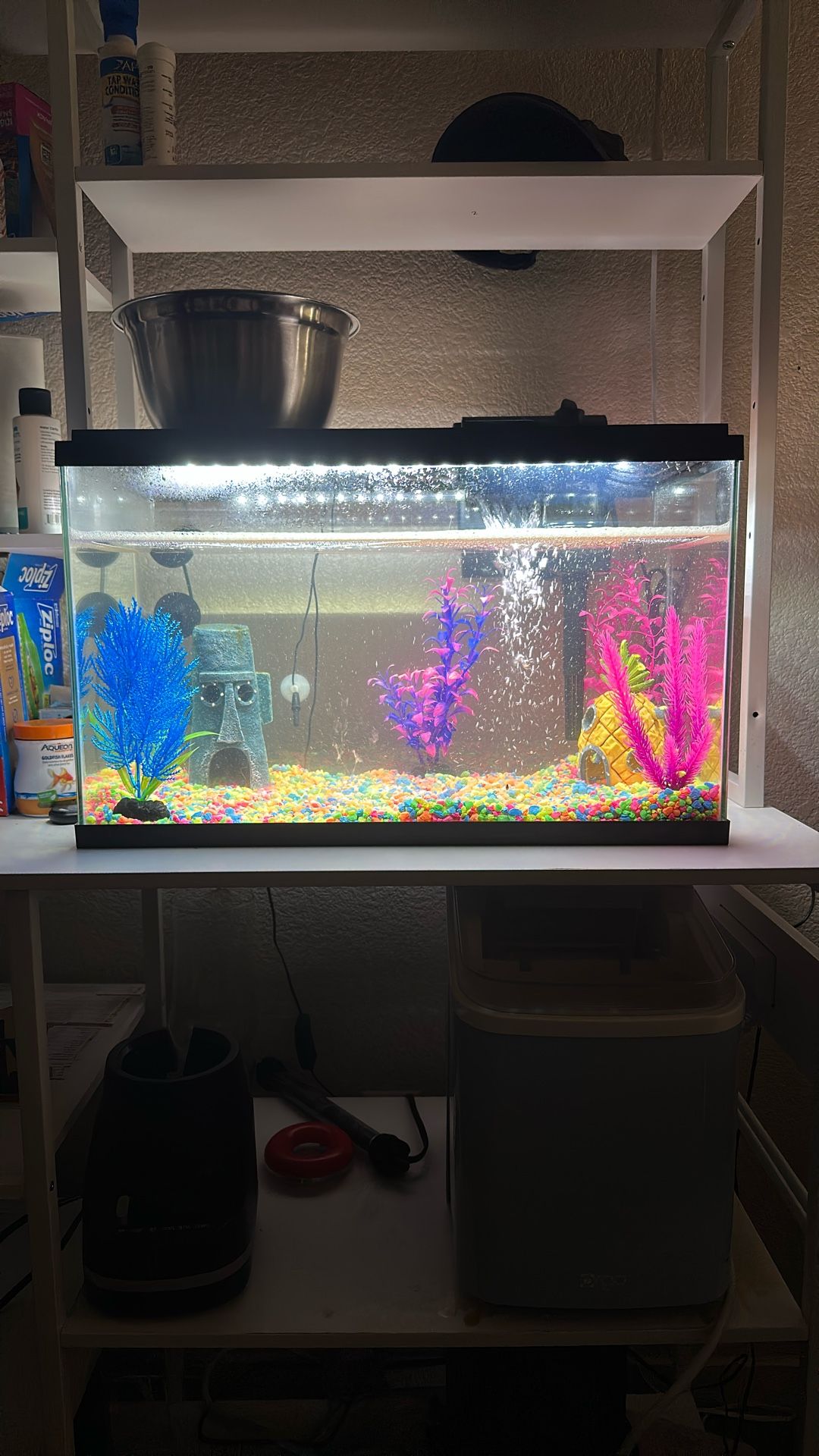 Fish Tank With Decor