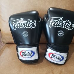 Fairtex Muay Thai Boxing Gloves BGV1 14oz