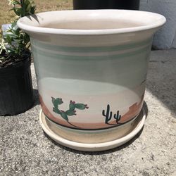 Large Desert/Cactus Painted Plant Pot 