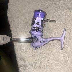 IP Proficiency  Stream Queen 