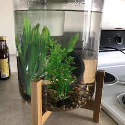 Fish Tank 3 Gallon