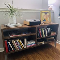 Book Shelf/TV Stand