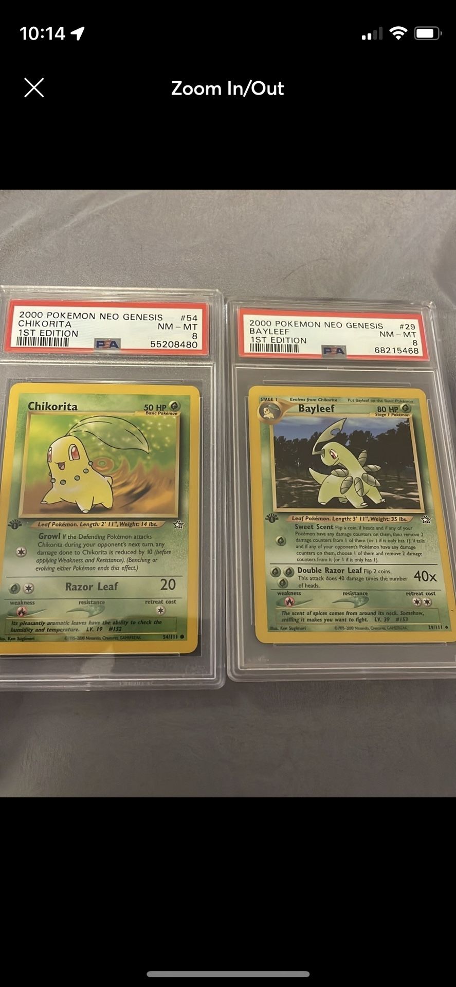 PSA 8 1st Edition CHIKORITA & BAYLEEF Neo Genesis Era