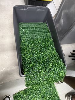 Grass Wall