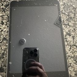 Ipad mini 2
