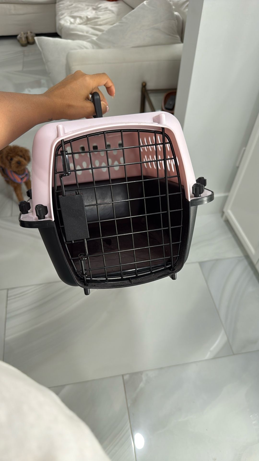 Dog Crate