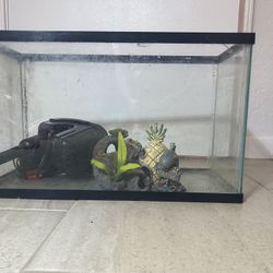 10 Gallon Fish Tank