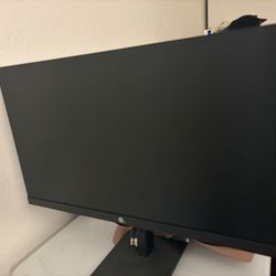 HP Monitor