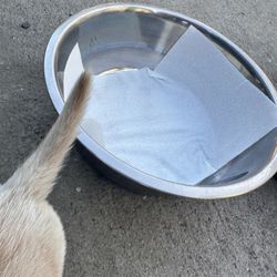 Dog bowls