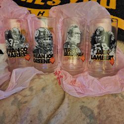 Steelers GLASSES 