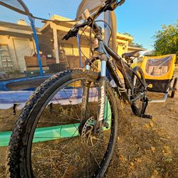 Bike & Kids Trailer
