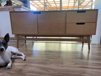 TV TABLE/ MEDIA CONSOLE
