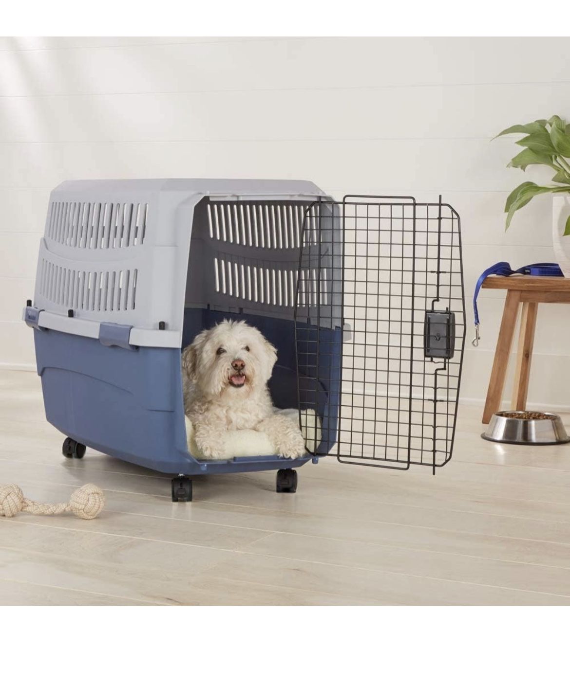 Pet Carrier Nice Dog Crates Amazon Large Amazon Folding Dog Crate