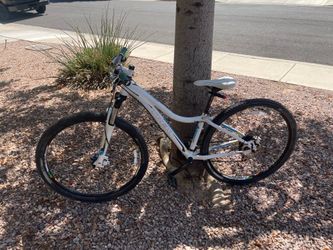 trek 29er woman’s