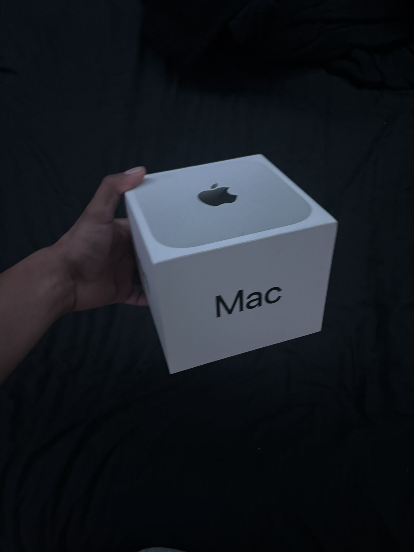 Mac Mini M4