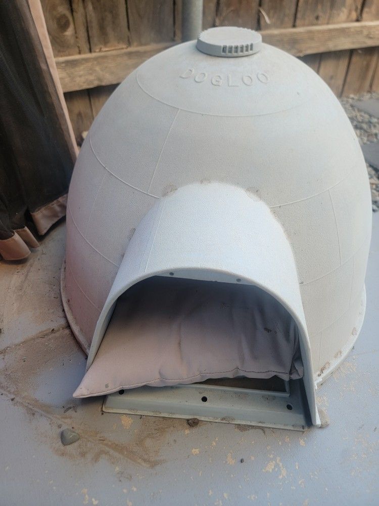 little dog house dog gloo