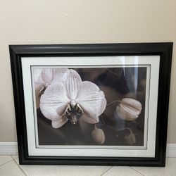 Large Artwork Painting