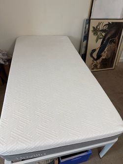 Novilla Twin Memory Foam Mattress and Frame