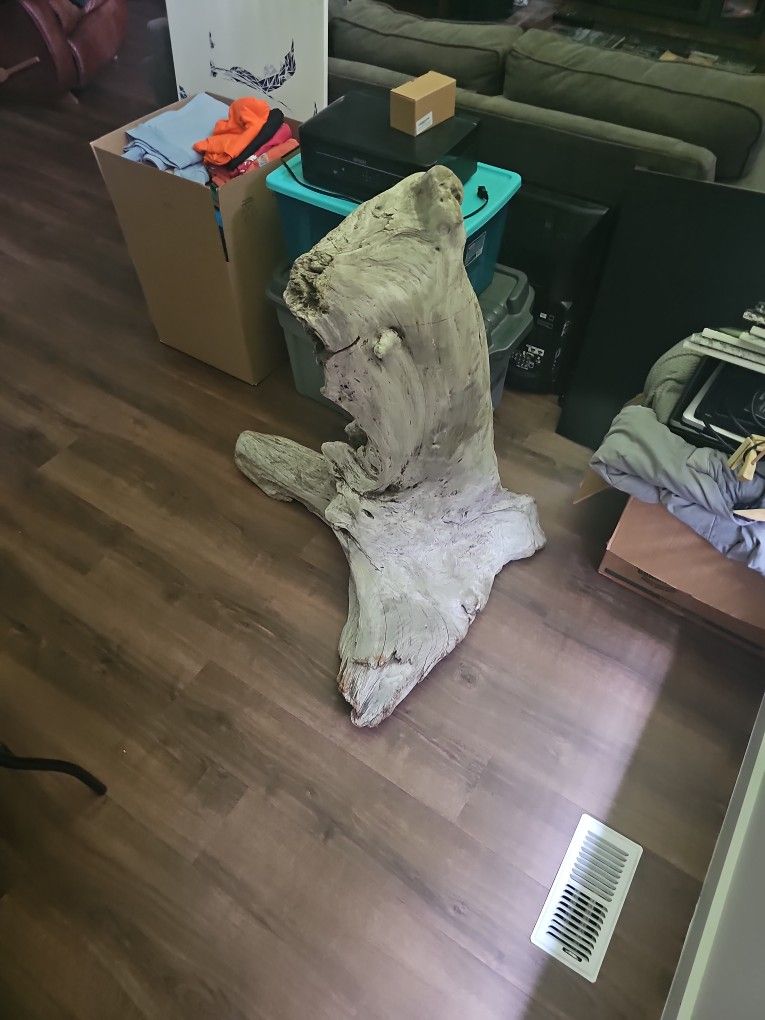 Free Large Piece Of Dried Drift Wood 