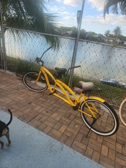 Double bicycle