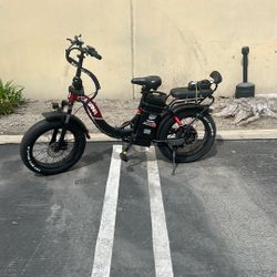 Polarna Electric Bike 