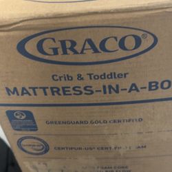 Toddler Mattress