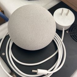 Google Home 
