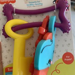 Dog toys, Key – Fisher Price for teething