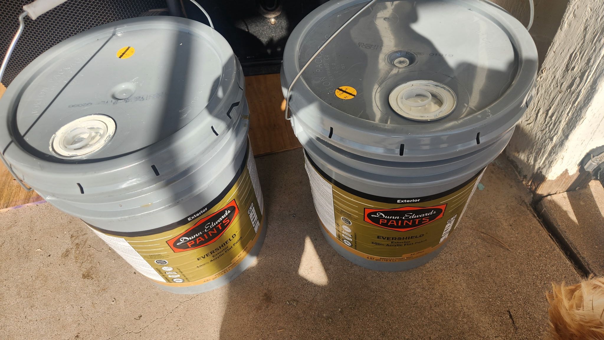 White Paint Pintura Blanca