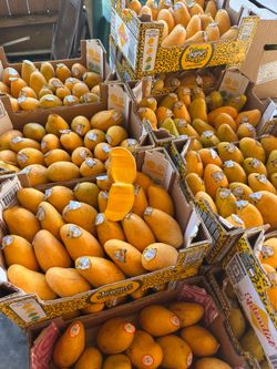 Mangos ataulfo $10 Box