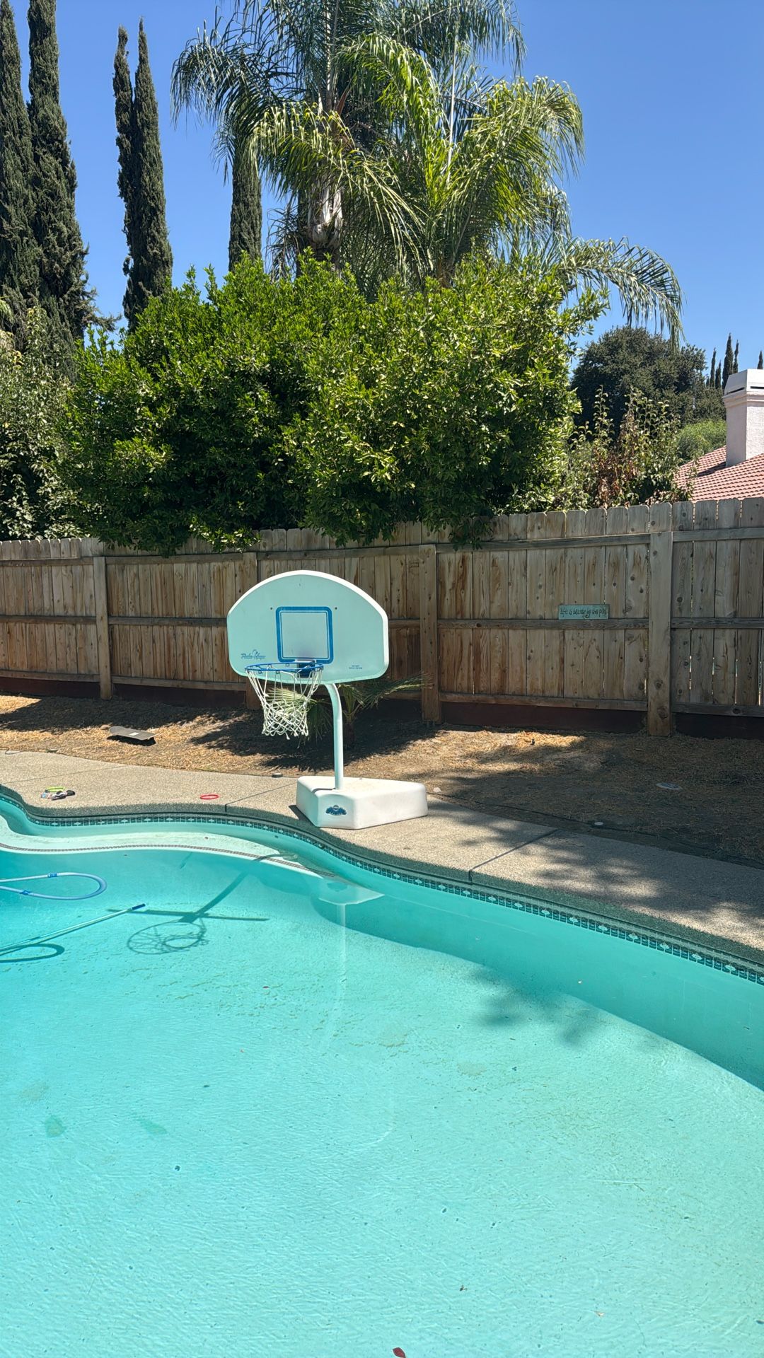 Pool Basketball Hoop