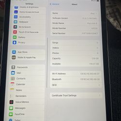 iPad Mini 4 Unlocked 