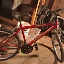 Timber Bike