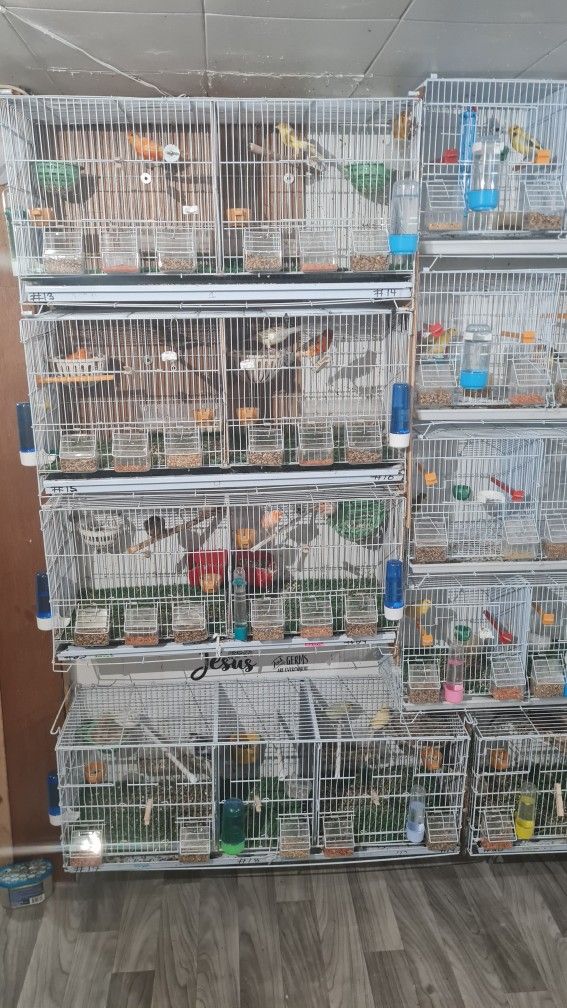 Breeding Cage